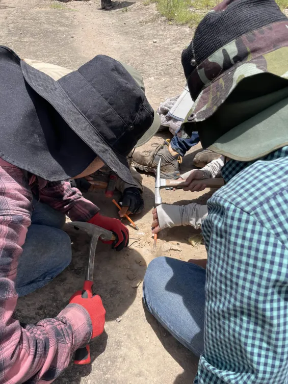 Detalle del proyecto