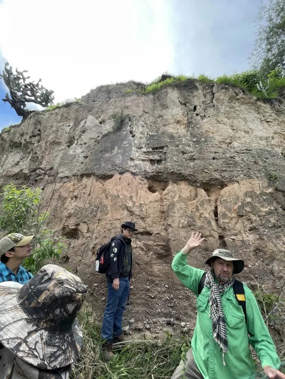 Detalle del proyecto