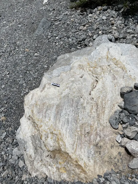 Detalle del proyecto