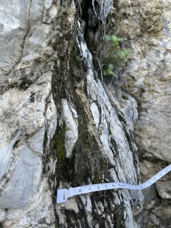 Detalle del proyecto