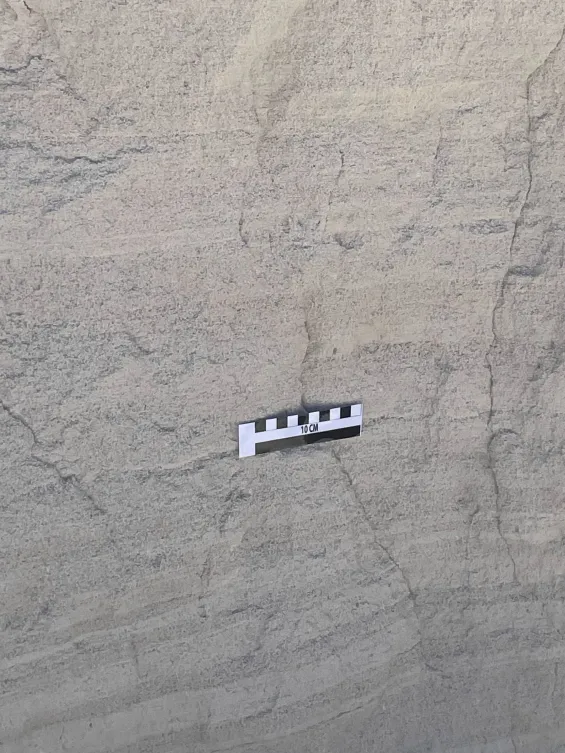 Detalle del proyecto