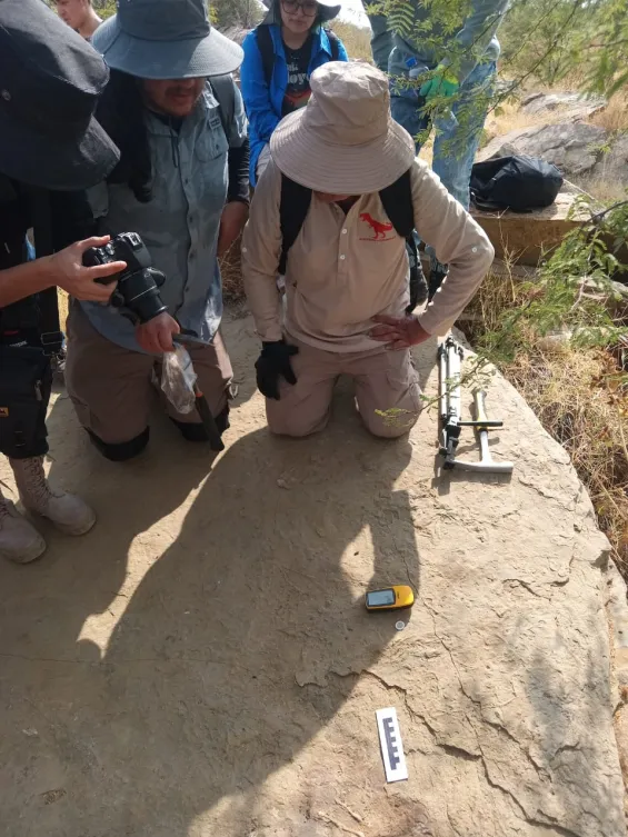 Detalle del proyecto