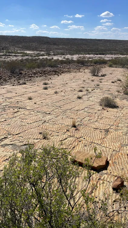 Detalle del proyecto